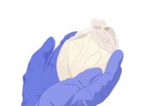 Gift of the Anonymous Teacher