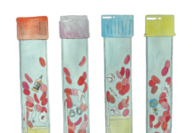 A Phlebotomist’s Sestina